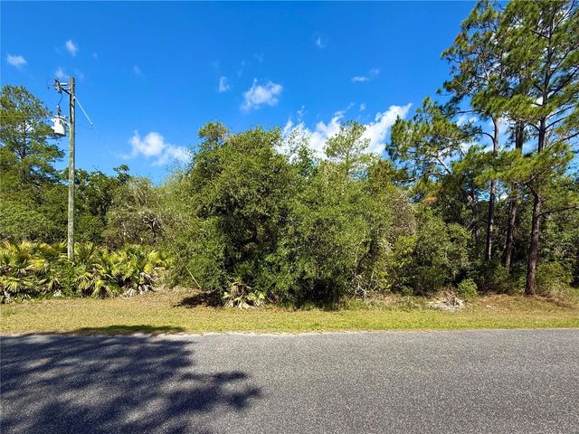 LOT 1 JERICHO TRAIL, Eustis, FL 32736