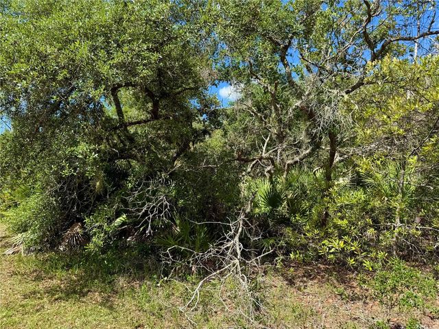 LOT 1 JERICHO TRAIL, Eustis, FL 32736