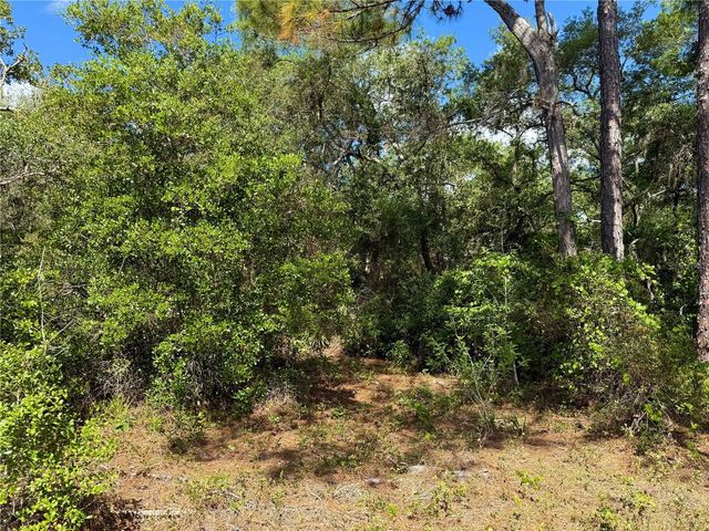 LOT 1 JERICHO TRAIL, Eustis, FL 32736