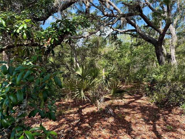 LOT 1 JERICHO TRAIL, Eustis, FL 32736