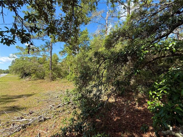 LOT 1 JERICHO TRAIL, Eustis, FL 32736