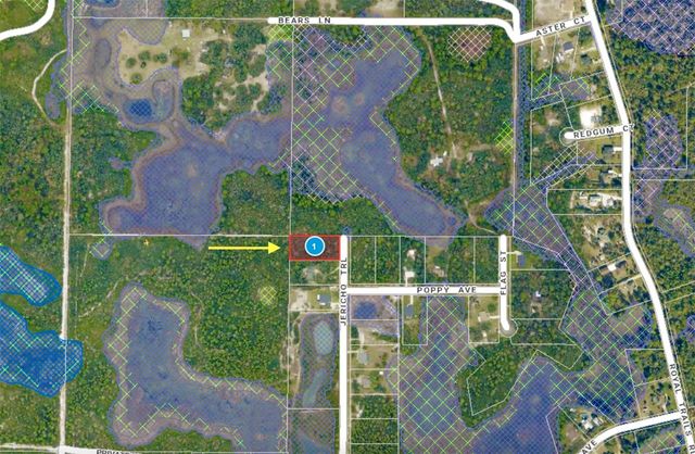 LOT 1 JERICHO TRAIL, Eustis, FL 32736