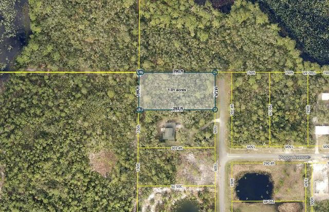 LOT 1 JERICHO TRAIL, Eustis, FL 32736