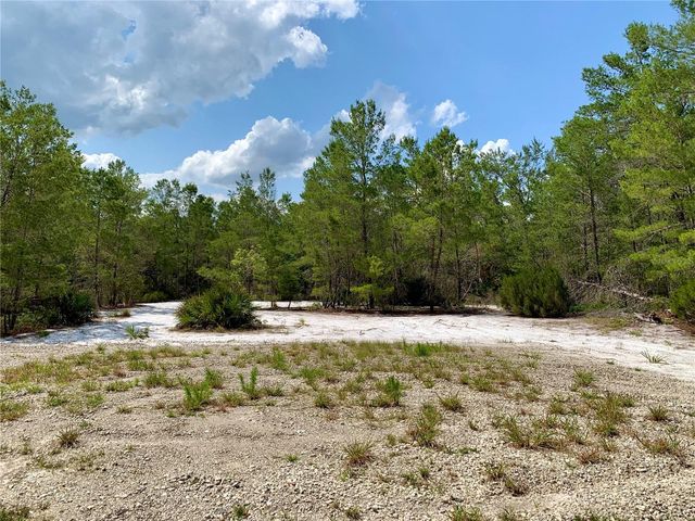 LOT 1 JERICHO TRAIL, Eustis, FL 32736