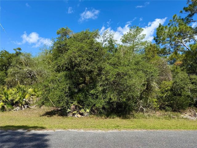 LOT 1 JERICHO TRAIL, Eustis, FL 32736