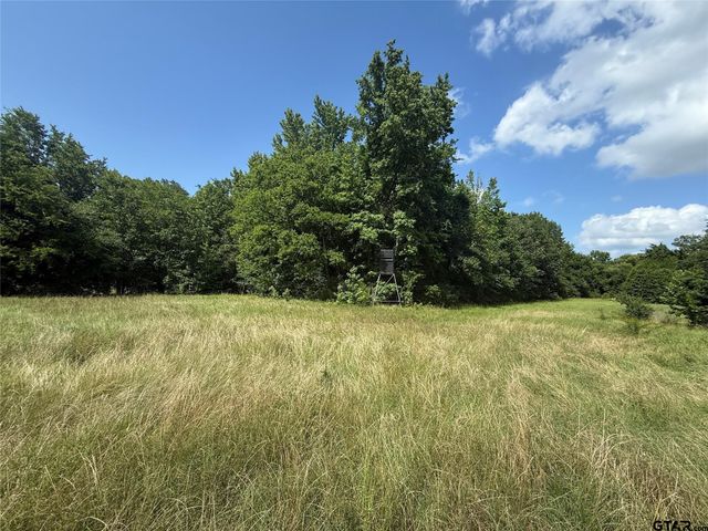 11591-2 S Farm Road 269, Pickton, TX 75471