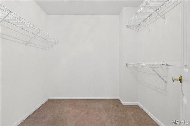 2566 Christopher Oaks Court, Oakville, MO 63129