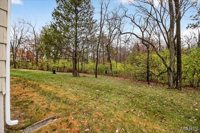 2566 Christopher Oaks Court, Oakville, MO 63129