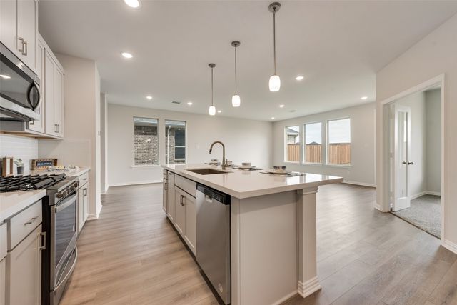169 Ashbrook Street, Little Elm, TX 75068
