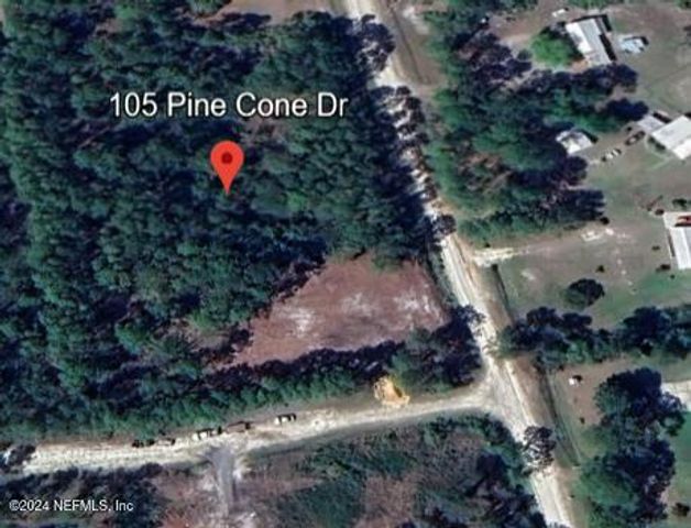 105 PINE CONE Drive, Georgetown, FL 32139