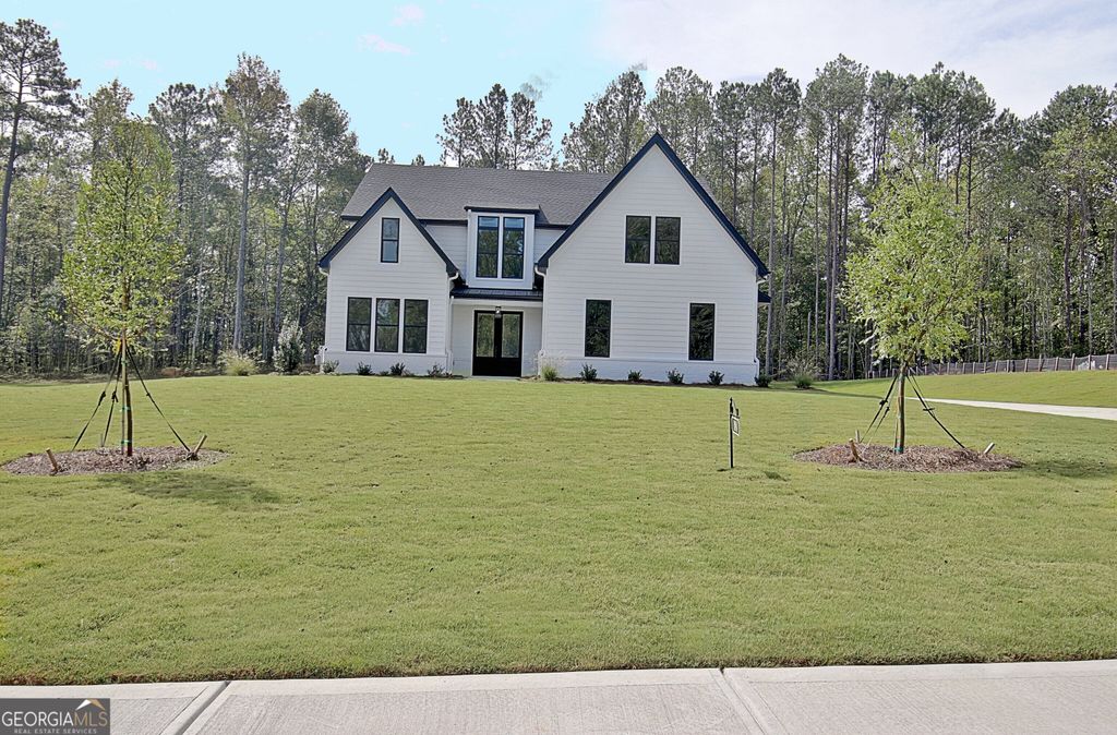 188 Ryeland Drive, Senoia, GA 30276 — photo 3