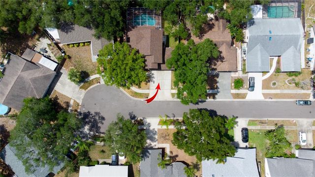 1564 COLONY COURT, Palm Harbor, FL 34683