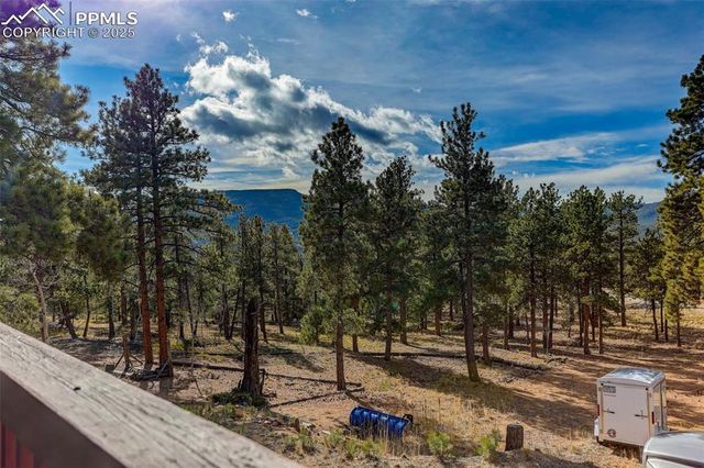 50 Road P78, Bailey, CO 80421