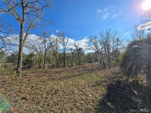 6335 S Tropicana Avenue, Lecanto, FL 34461