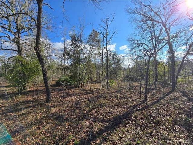 6335 S Tropicana Avenue, Lecanto, FL 34461