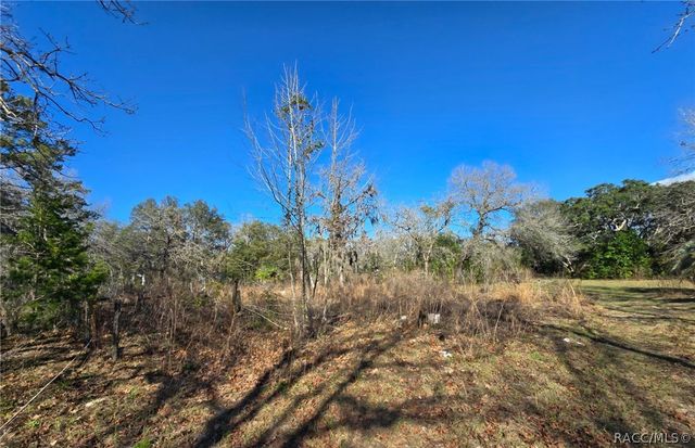6335 S Tropicana Avenue, Lecanto, FL 34461