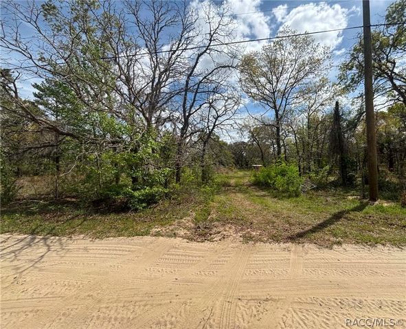 6335 S Tropicana Avenue, Lecanto, FL 34461