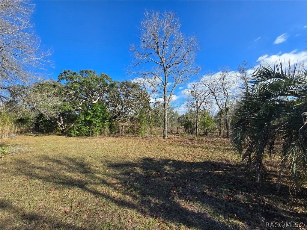6335 S Tropicana Avenue, Lecanto, FL 34461