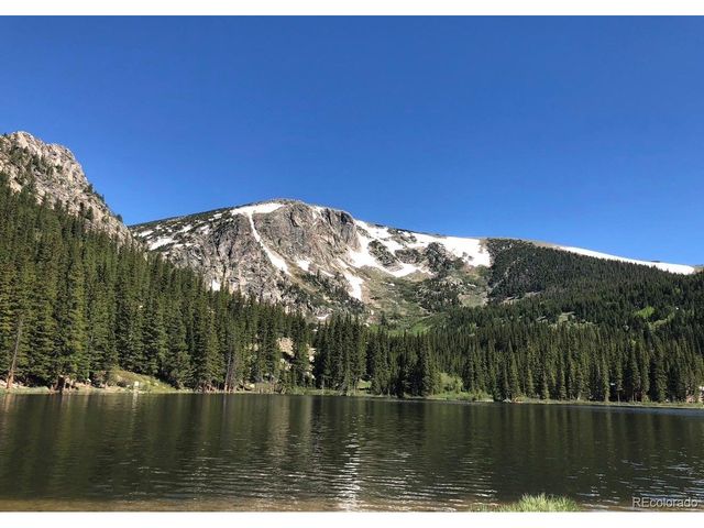 355 Texas Dr, Idaho Springs, CO 80452