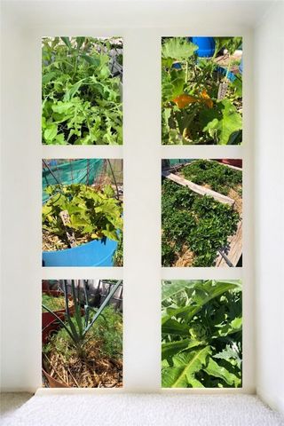 3650 S Blue Stone Road, Kingman, AZ 86401