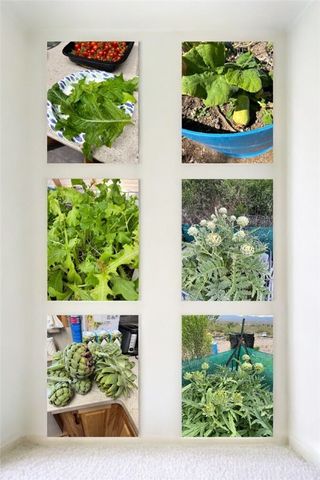 3650 S Blue Stone Road, Kingman, AZ 86401