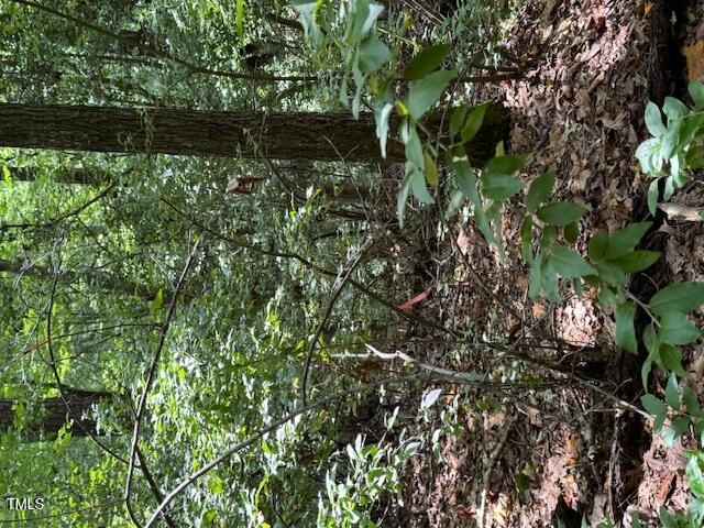 0 Redgate Road, Pittsboro, NC 27312