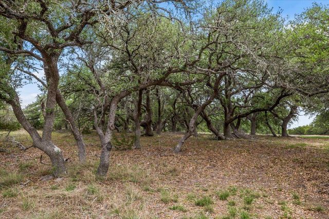 6594 W Hwy 290, Dripping Springs, TX 78620