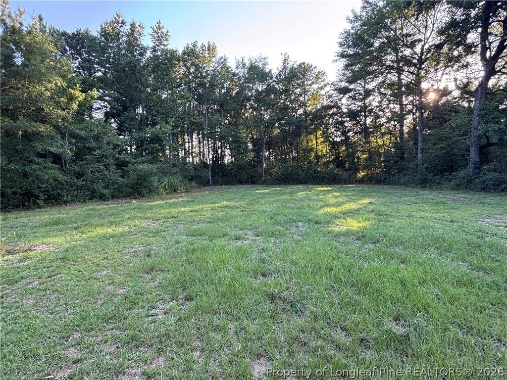 595 Shaw Road, St Pauls, NC 28384 — photo 11