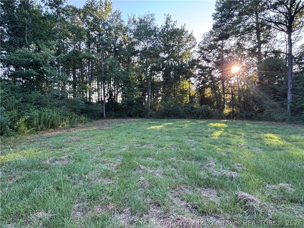 595 Shaw Road, St Pauls, NC 28384 — photo 12