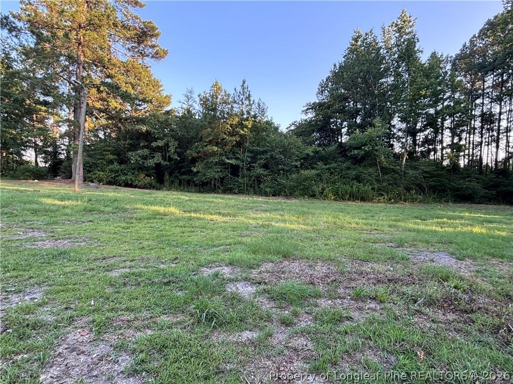 595 Shaw Road, St Pauls, NC 28384 — photo 14