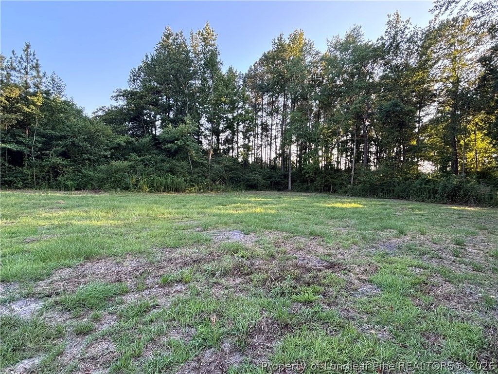 595 Shaw Road, St Pauls, NC 28384 — photo 15