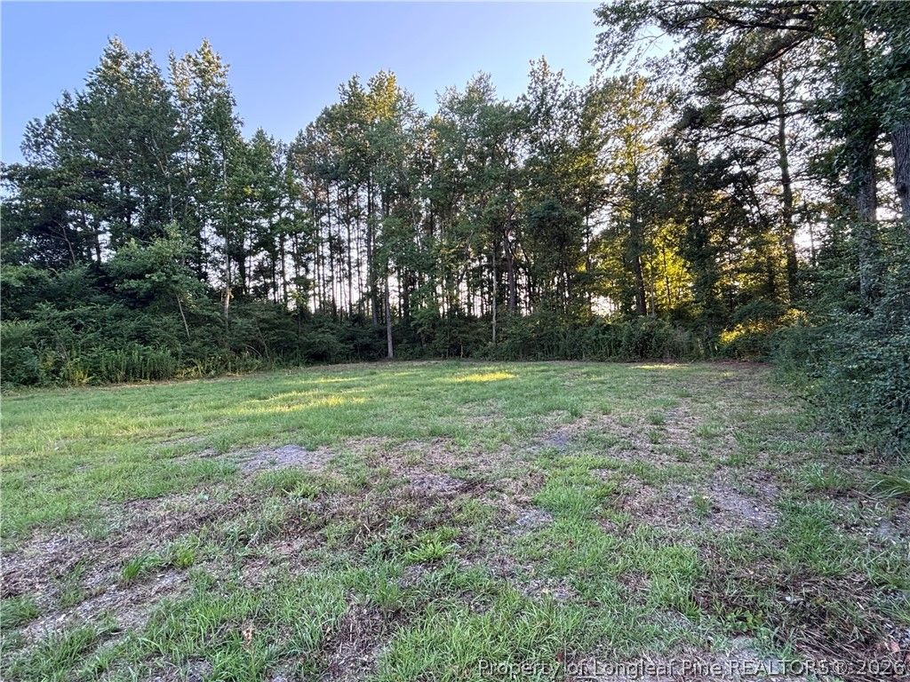 595 Shaw Road, St Pauls, NC 28384 — photo 16