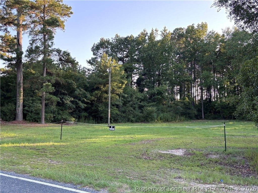 595 Shaw Road, St Pauls, NC 28384 — photo 2