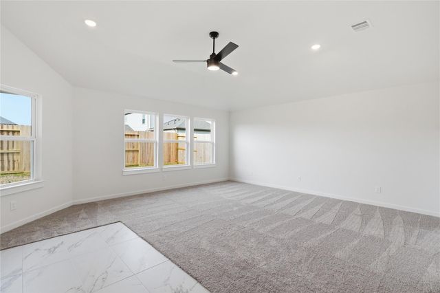 3422 Sago Palm Drive, Manvel, TX 77578