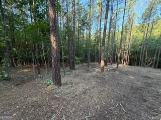 0 Lone Bear Path, Dallas, GA 30132