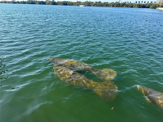 5701 MARINER STREET 504A, Tampa, FL 33609