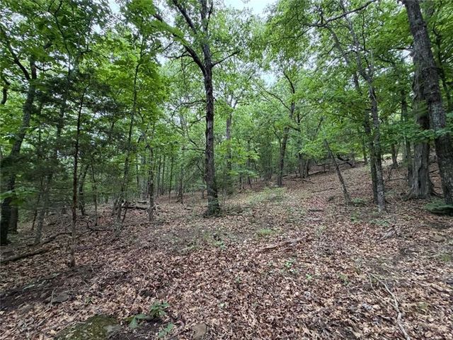 0000 NC 3920 Road, Marble Falls, AR 72648