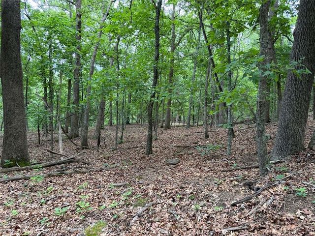 0000 NC 3920 Road, Marble Falls, AR 72648
