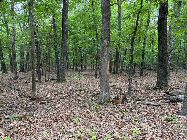 0000 NC 3920 Road, Marble Falls, AR 72648