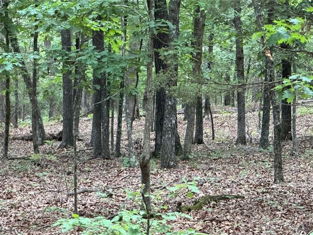 0000 NC 3920 Road, Marble Falls, AR 72648
