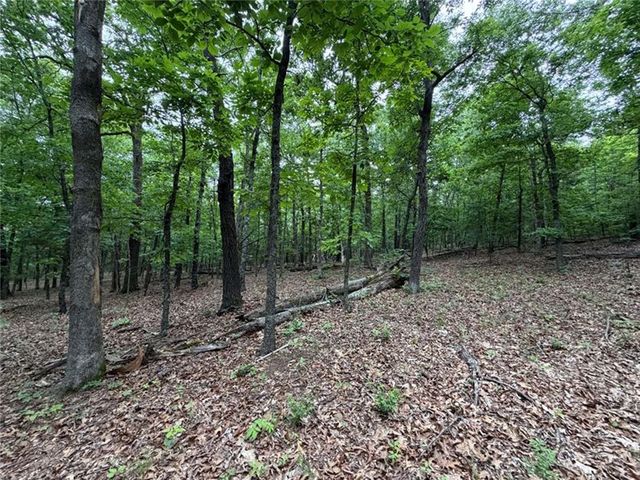 0000 NC 3920 Road, Marble Falls, AR 72648