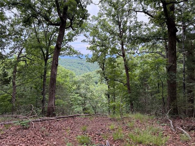 0000 NC 3920 Road, Marble Falls, AR 72648