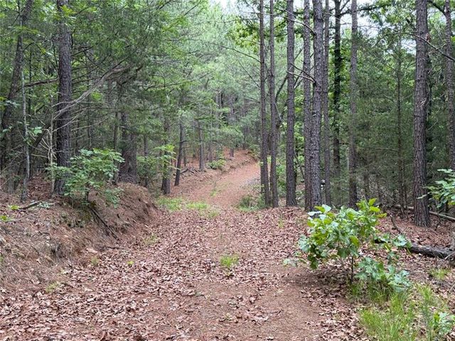 0000 NC 3920 Road, Marble Falls, AR 72648
