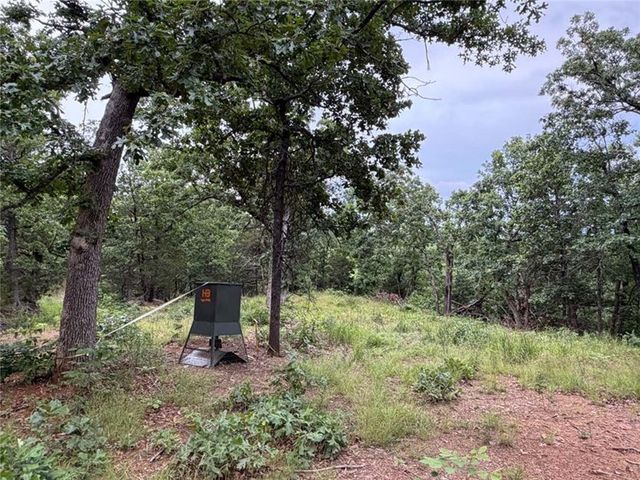 0000 NC 3920 Road, Marble Falls, AR 72648