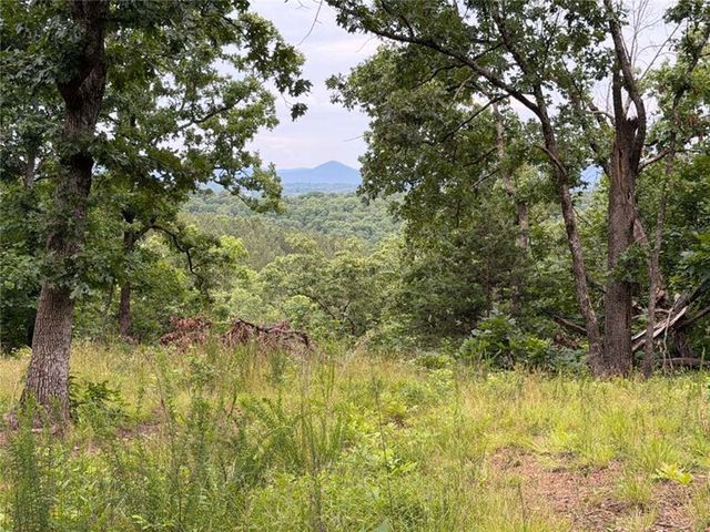 0000 NC 3920 Road, Marble Falls, AR 72648