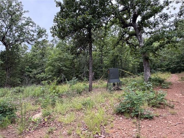 0000 NC 3920 Road, Marble Falls, AR 72648