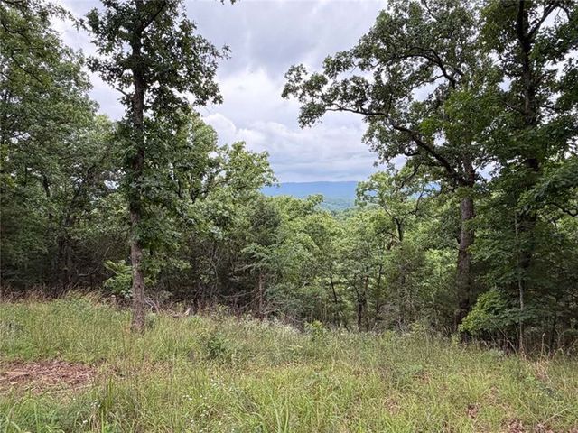 0000 NC 3920 Road, Marble Falls, AR 72648