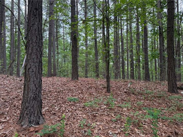 0000 NC 3920 Road, Marble Falls, AR 72648