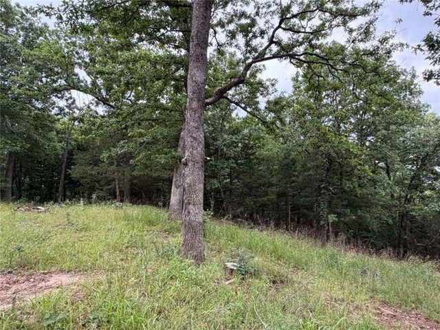 0000 NC 3920 Road, Marble Falls, AR 72648