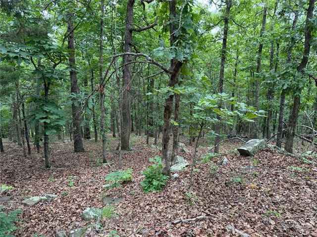 0000 NC 3920 Road, Marble Falls, AR 72648
